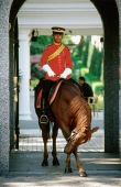 Malaysia, Kuala Lumpur, The horse of a guard at the Istana Negara (National Palace) bowing to tourists. - Steve Raymer