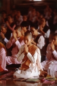Myanmar (Burma), Yangon (Rangoon), A group of young Buddhist monks meditating at a meditation center. - Steve Raymer