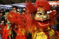 China, Beijing, Dragon dance at Chinese New Year's Festival. - Jack Hollingsworth