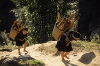 Vietnam, Sa Pa, Black Hmong children carrying firewood - Jill Gocher