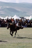 China, Szechuan (Sichuan), Kham region, Skilled horseman in traditional costume shooting from horse with musket during summer nomad festival. - Jill Gocher