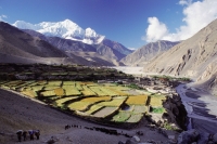 Nepal, Kagbeni, Fertile summer fields, surrounded by mountains. - Jill Gocher