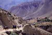 Nepal, Mustang, Mustang tourist caravan. Riding is the main form of transportation - Jill Gocher