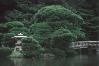 Japan, Tokyo, Garden with bridge - Alex Mares-Manton