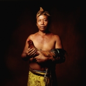 Indonesia, Bali, Ubud, Balinese man holding fighting cock. - Martin Westlake