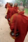 Myanmar (Burma), Bago, Novice monks collect alms early in the morning. (grainy) - Martin Westlake