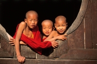 Myanmar (Burma), Inle Lake, Shweyaunghwe Kyaung (monastery), Novice monks look out from dormitory. (grainy) - Martin Westlake