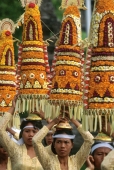 Indonesia, Bali, Gianyar, Pengastian ceremony, women carrying offerings.  (grainy) - Martin Westlake