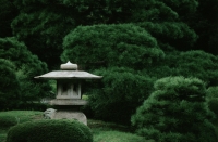 Japanese garden - Alex Microstock02