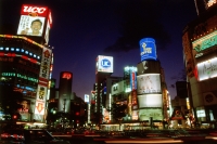 Japan, Shinjuku district at night - Alex Microstock02
