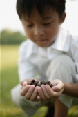 Young boy holding seeds - Alex Microstock02