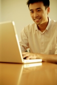 Executive using laptop, looking forward, toothy smile - Alex Microstock02