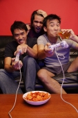 Three young men, with video games, beer and chips - Alex Microstock02