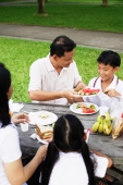 Family sitting at picnic table, father passing son food - Alex Microstock02