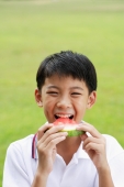 Boy eating slice of watermelon - Alex Microstock02