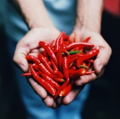 Red chillies for sale at market - Martin Westlake