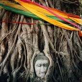 Buddha head encased in holy Banyan tree - Martin Westlake