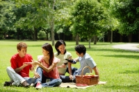 Young adults having picnic in park - Alex Microstock02