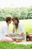 Couple having picnic in park, woman eating apple - Alex Microstock02