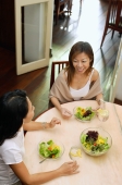 Women having a meal of salad, high angle view - Alex Microstock02