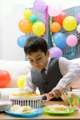 Boy cutting birthday cake - Alex Microstock02
