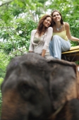 Young women on elephant, Phuket, Thailand - Alex Mares-Manton