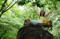 Female tourist riding elephant, arms outstretched, Phuket, Thailand - Alex Mares-Manton