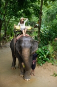 Young woman sitting on top of elephant, hand on head,  Phuket, Thailand - Alex Mares-Manton