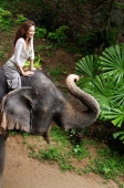 Young woman sitting on top of elephant, smiling, Phuket, Thailand - Alex Mares-Manton