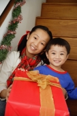 Girl and boy sitting on stairs, holding present, smiling at camera - Alex Microstock02
