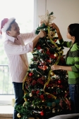 Couple decorating Christmas tree at home - Alex Microstock02
