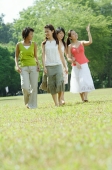 Four young women walking in park - Wang Leng