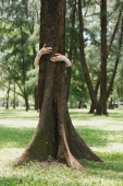 Young woman hugging tree - Yukmin
