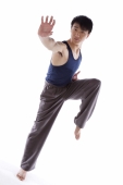 Young man practicing kong fu, balancing on one leg - blueduck