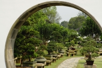 Bonsai trees seen through an arched doorway at the Chinese Garden, Singapore - Yukmin