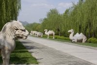 Sacred Way Museum of Ming Tomb, Beijing, China - OTHK