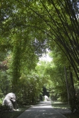 Bamboo lane, Thatched cottage of Du Fu, Chengdu, China - OTHK