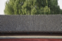 Roof of a temple - Alex Mares-Manton