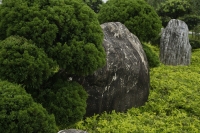 Landscape with rocks at background - Ellery Chua