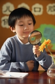 Schoolboy with magnifying glass - Alex Mares-Manton