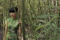 Young woman wearing a traditional Chinese dress standing in bamboo forest - Alex Mares-Manton