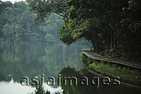 Wooden path around the edge of lake surrounded by trees reflected in the water - Alex Mares-Manton