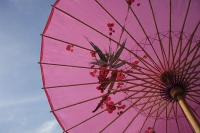 pink umbrella - Asia Images Group