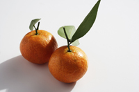 Pair of mandarin oranges - Asia Images Group