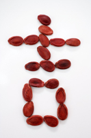 Chinese character for "luck" formed with red melon seeds - Asia Images Group