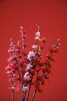 Still life of a bunch of peach blossoms - Asia Images Group