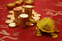 Still life of gold tortoise figurine and gold coins - Asia Images Group