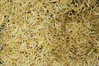 Bean sprouts at market - Asia Images Group