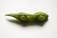 single green edamame bean with pea pod broken - Asia Images Group