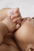 Close up of baby sucking fingers. - Asia Images Group